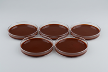 Cargar imagen en el visor de la galería, Agar Gelosa Chocolate MCD LAB