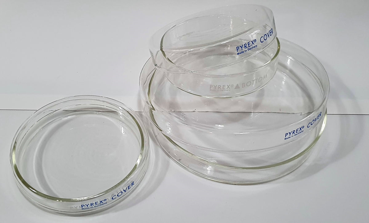 Petri Dish Pyrex 3160 Es - 100x10mm Laboratory Glass Dishes, Pack Of 12 ...